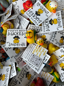 Land Pirate Ducks