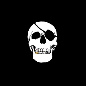 Land Pirate Skull NFT 1-100 - Land Pirate 
